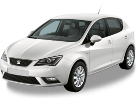 Seat Ibiza 12 Tdi Bluemotion Egr Klep Defect Vag